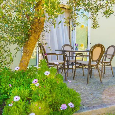 Olive τrees Garden Apart Otel