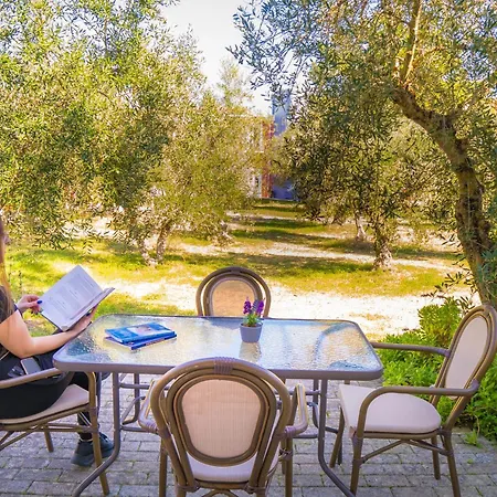 Apart Otel Olive τrees Garden