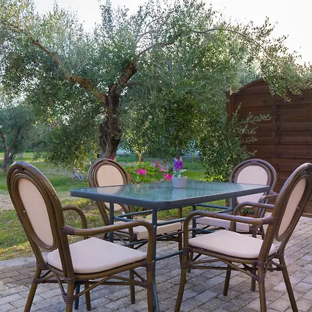 Lejlighedshotel Olive τrees Garden